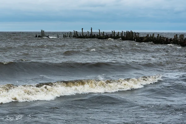 Stormy Baltic sea. — Stock Photo, Image