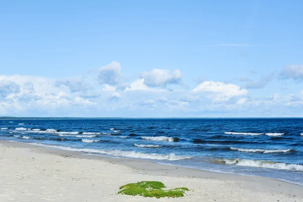 Mar Báltico azul . — Foto de Stock