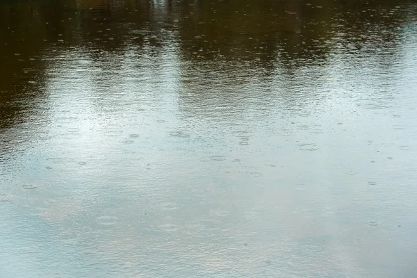 Regen op het wateroppervlak. — Stockfoto