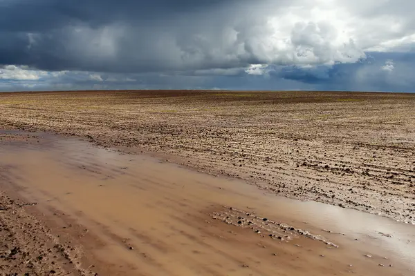 Campo marrone . — Foto Stock