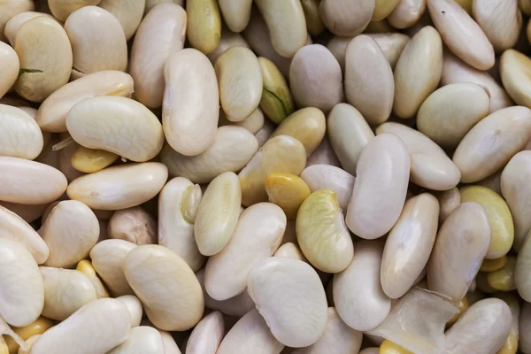 White beans. — Stock Photo, Image