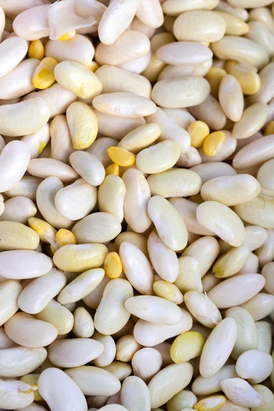 White beans. — Stock Photo, Image