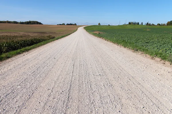 Kırsal yol. — Stok fotoğraf