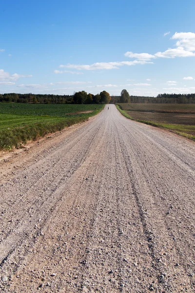Estrada rural . — Fotografia de Stock
