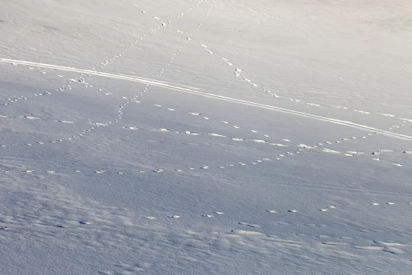 Sneeuw oppervlak. — Stockfoto