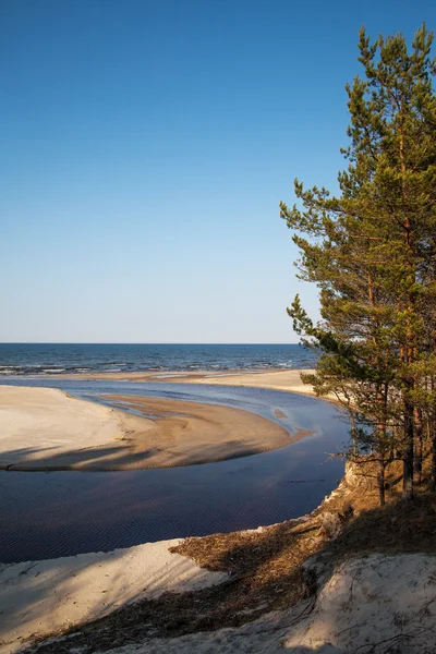 Costa del Mar Baltico . — Foto Stock