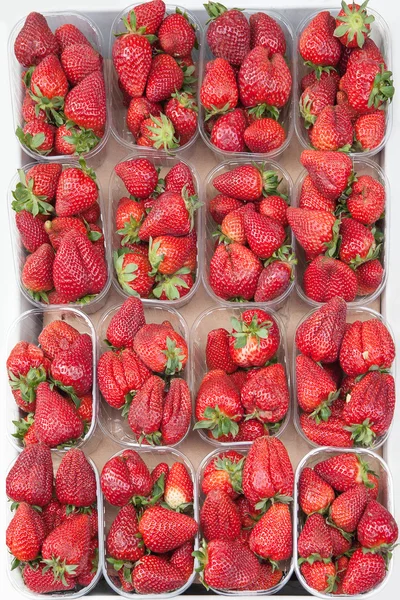 Fresh strawberries. — Stock Photo, Image