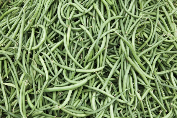 Fresh beans. — Stock Photo, Image