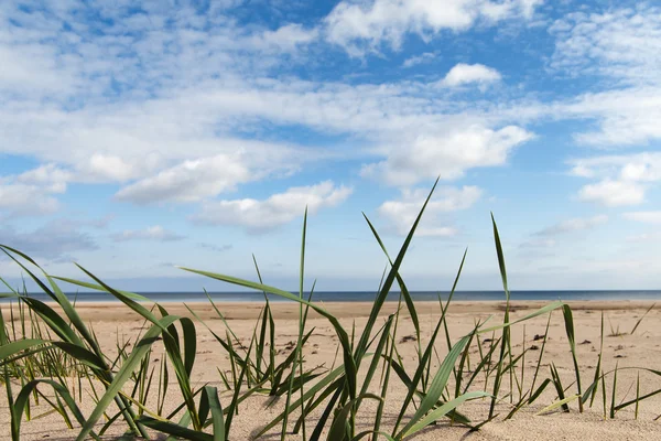 Nuvens sobre o mar Báltico . — Fotografia de Stock