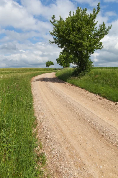 Strada rurale . — Foto Stock