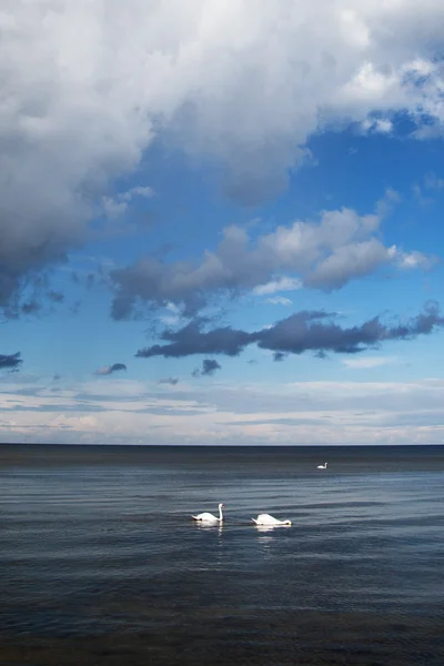 Grande nube sul Baltico . — Foto Stock
