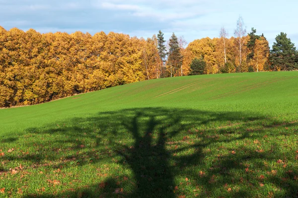 Autumn landscape. — Stock Photo, Image