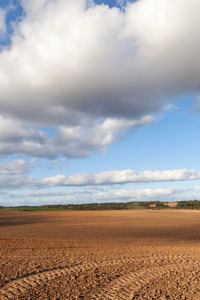 Settore agricolo fresco . — Foto Stock