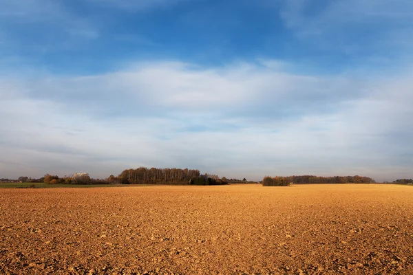 Campo cultivado . — Fotografia de Stock