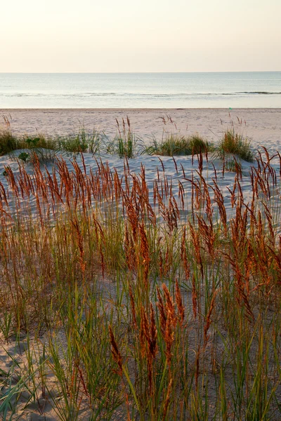 Gras, Sand und Ostsee siehe. — Stockfoto