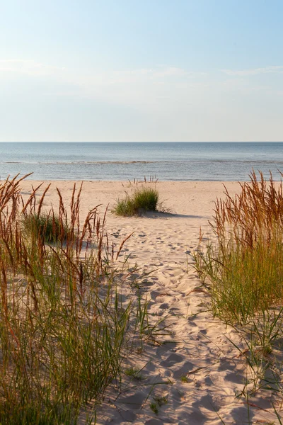 Gras, Sand und Ostsee siehe. — Stockfoto