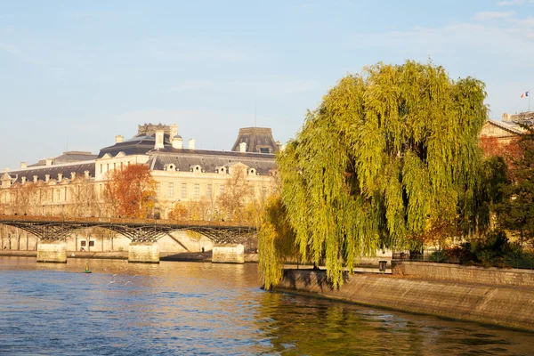 Cite island en París, Francia . — Foto de Stock