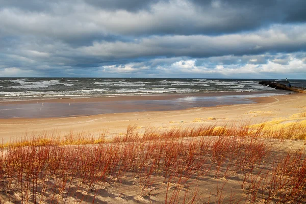 Stormachtige dag op de kust van de Baltische Zee. — Stockfoto
