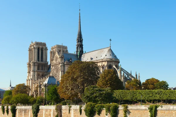 Notre Dame, Paryż, Francja. — Zdjęcie stockowe