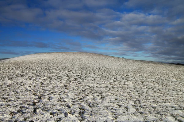 Verschneites Land. — Stockfoto