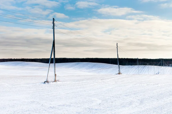 눈 덮인 땅. — 스톡 사진