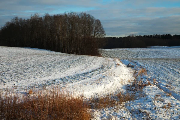 Winterlandschap. — Stockfoto