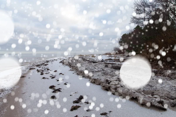 Winter op de kust van de Baltische Zee. — Stockfoto