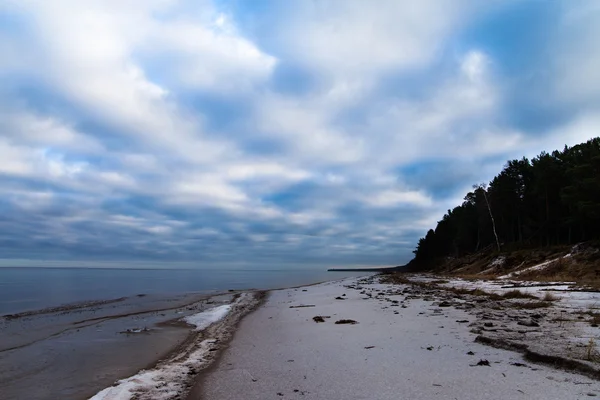 Baltische kust in de winter. — Stockfoto