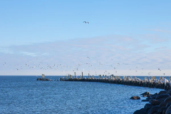 Old breakwater in cold day. — Stock Photo, Image