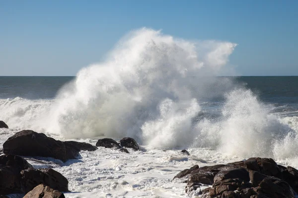 Atlanterhavsbølger ved Portugals kyst . – stockfoto
