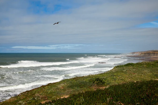 ポルトガルの大西洋の海岸. — ストック写真