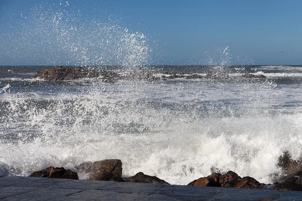 Atlantic vågor på Portugal utmed kusten. — Stockfoto