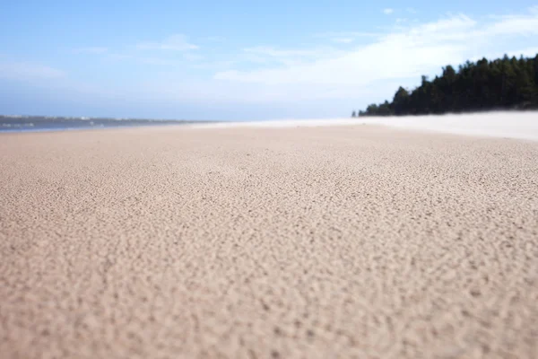 Sand und Wind. — Stockfoto