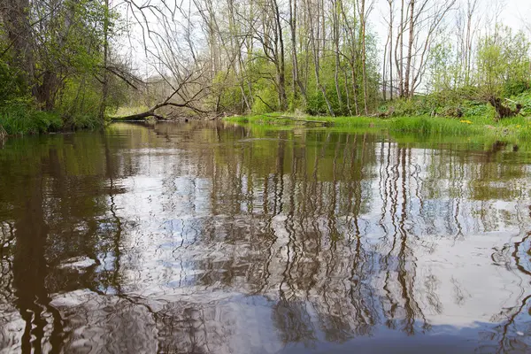 Отражения в воде . — стоковое фото