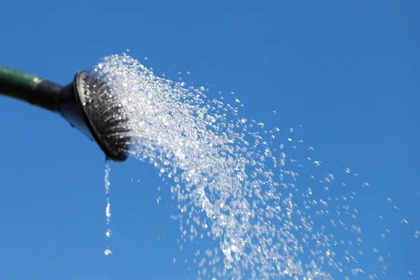 Despejando água de regar pode . — Fotografia de Stock