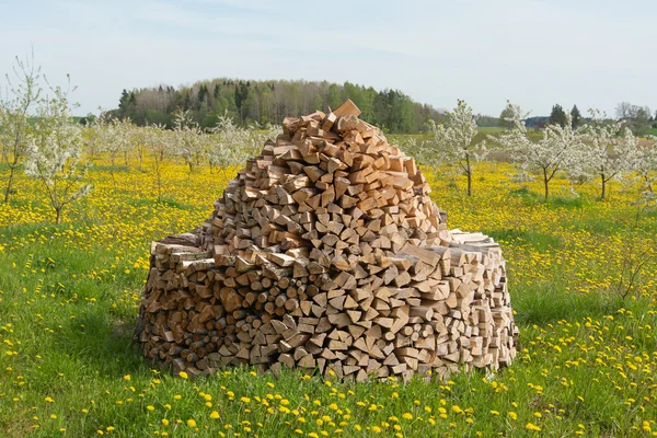Stos drewna opałowego. — Zdjęcie stockowe