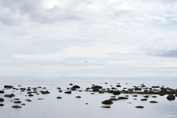 Still Baltic sea. — Stock Photo, Image