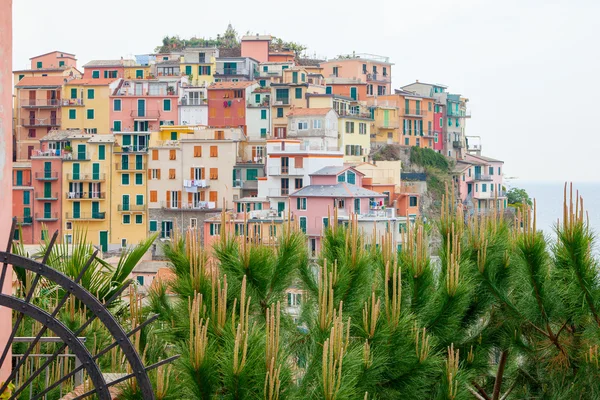 Manarola village, Cinque Terre, Olaszország. — Stock Fotó