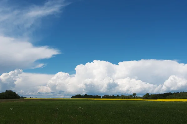 雲の下のフィールド. — ストック写真