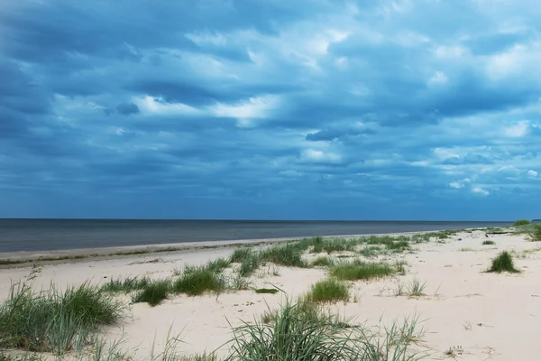 Costa do mar Báltico . — Fotografia de Stock