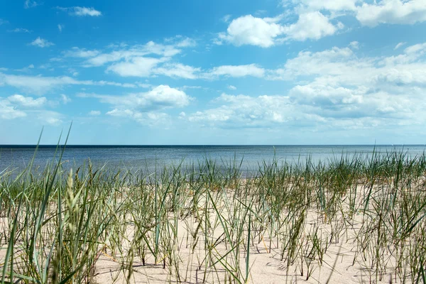 Ostseeküste. — Stockfoto