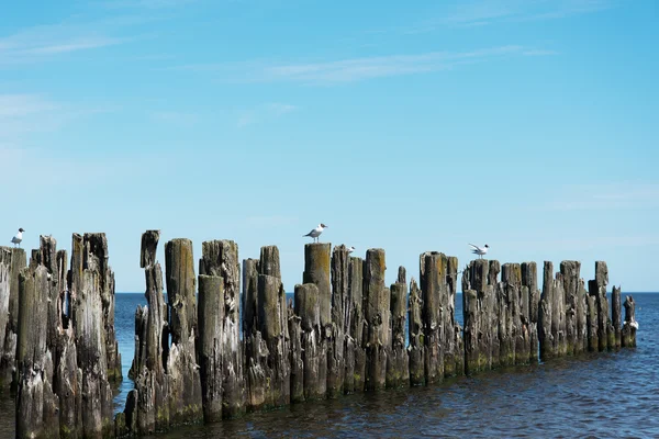 Muelle viejo roto . — Foto de Stock