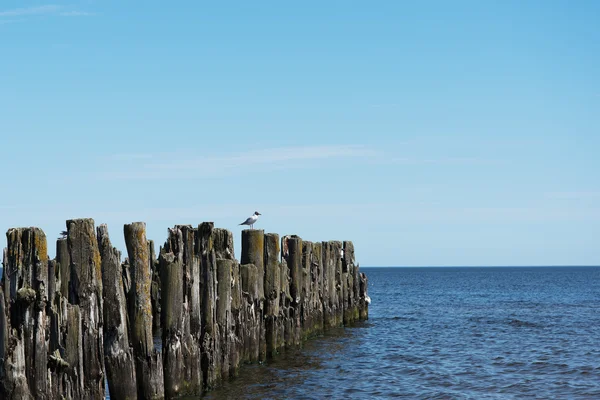 Muelle viejo roto . — Foto de Stock