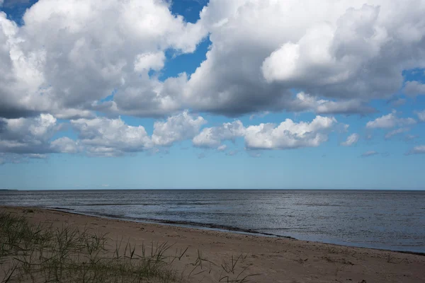 Baltık Denizi kıyısında. — Stok fotoğraf