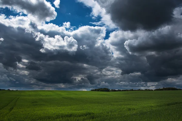 Zöld mező, és a sötét ég. — Stock Fotó