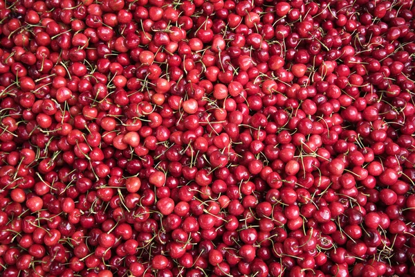 Cerezas rojas. — Foto de Stock