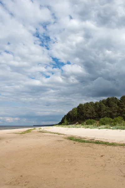 Costa del Mar Baltico in Lettonia . — Foto Stock