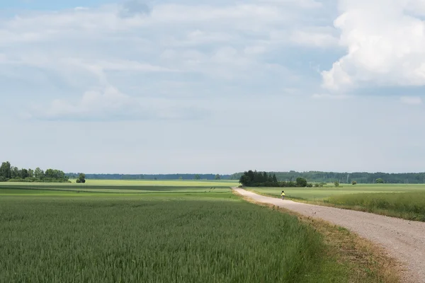 Lettiska landskap. — Stockfoto