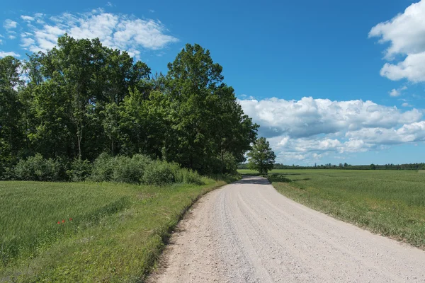 Gröna landskapet. — Stockfoto