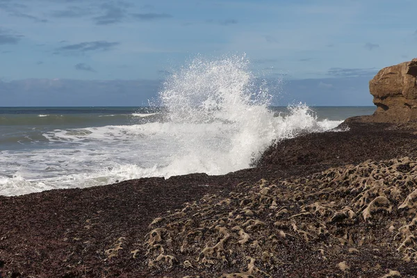 大西洋の波. — ストック写真